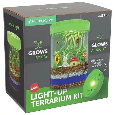 Light-Up Terrarium Kit